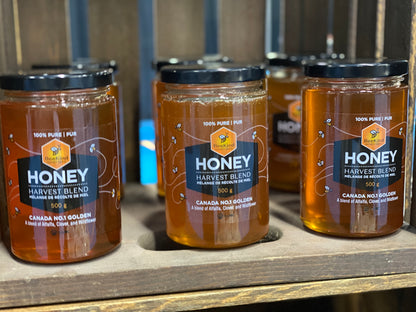 Harvest Blend Raw Honey 500g