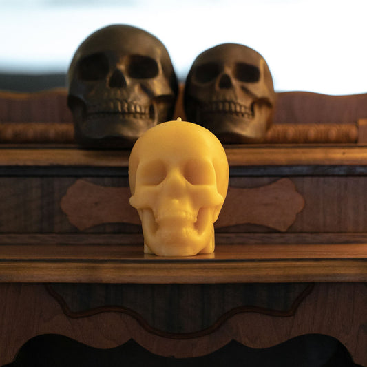 Skull Candle