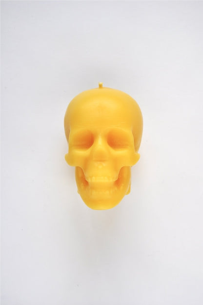 Skull Candle